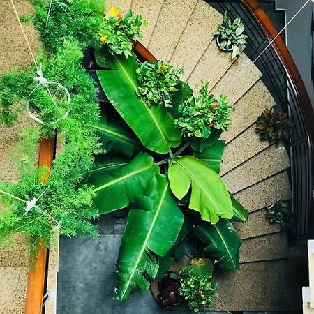 Homestay Hoang Gia Quy Nhon Exterior photo