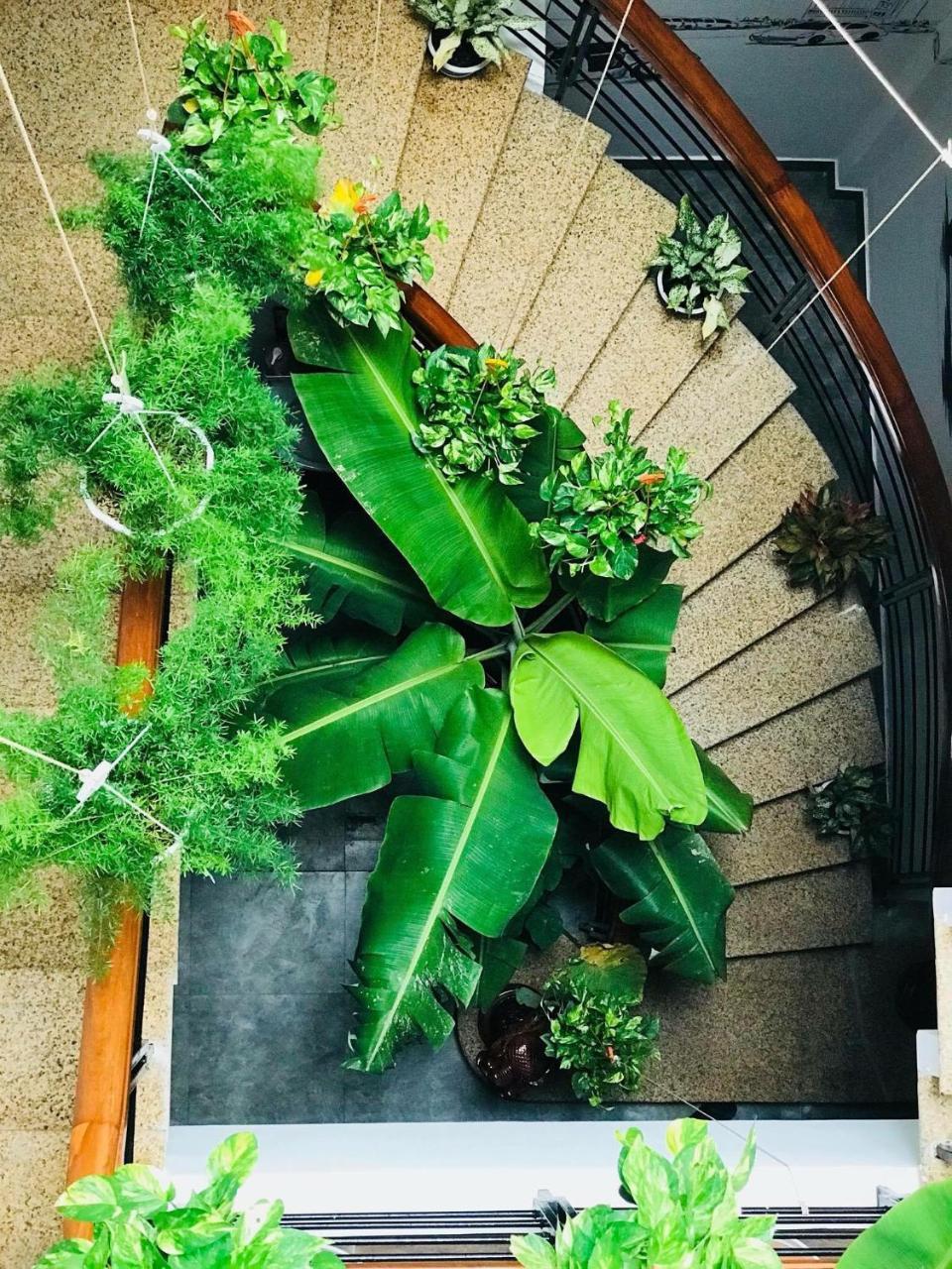 Homestay Hoang Gia Quy Nhon Exterior photo