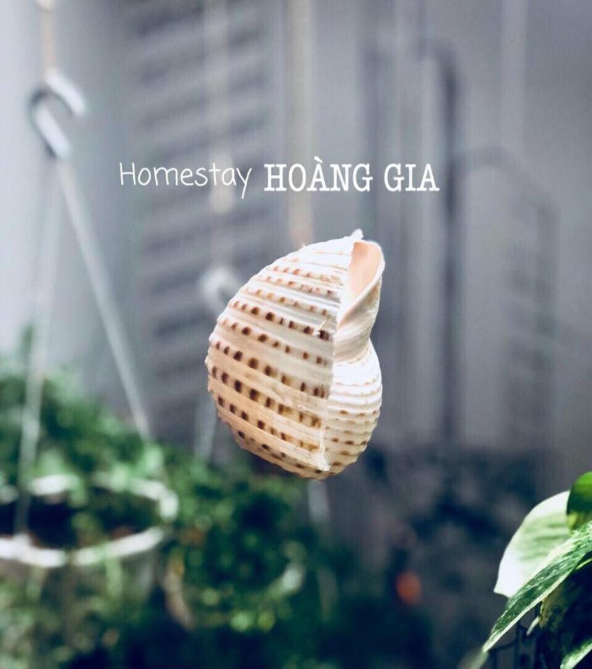 Homestay Hoang Gia Quy Nhon Exterior photo
